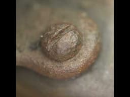Restoration of a vintage antique petrol blowtorch