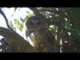 Nature Connection: April 7