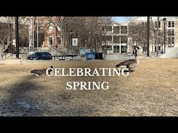 Celebrating Spring in my Witchcraft Practice