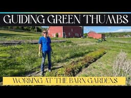 WORKING AT THE BARN GARDENS
