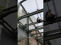 Proyek Rumah Tinggal 3 Lantai #konstruksibajawf #jasakonstruksibaja