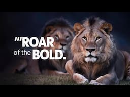 1+ Hours Off How Lions Fight for Power for Falling Asleep