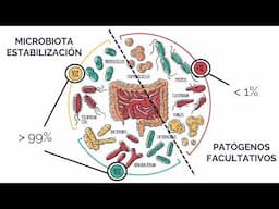 Alteraciones de microbiota en pacientes con pirosis. ¿Causa o consecuencia de tratamiento con IBPs?
