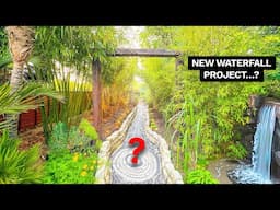 Jungle Garden Hard Landscaping Decisions - Pond, Path & Patio...