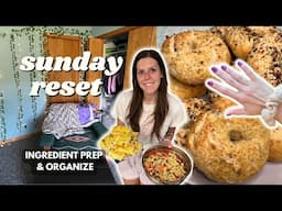 Sunday RESET | Ingredient/Meal Prep, Organize | Staying on Track With Weight Loss | Pasta Salad