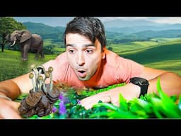 I Tried Finding God in Elephant Poop Mushrooms | Thailand Doco