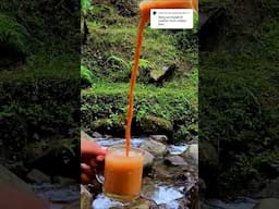 "Masak Char Koey Teow & Teh tarik di Hutan? Ini Hasilnya!" #malaysianfood