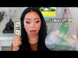 I ONLY Used Dollar Store Makeup for a full day... Shocked 😱