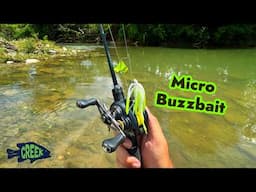 TopWater Creek Fishing BFS