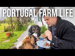 Going back to South Africa - Leaving our Farm Behind | PORTUGAL FARM LIFE