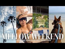FIRST BEACH FRIDAY + Dippin' Daisy's Bikini Review + Bosscat Brunch + Lulus Try-On Haul | Vlog 474