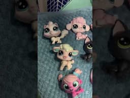 Elsa and Anna toddlers LPS spa for cute cat