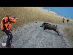 Isparta yaban domuzu avı / Wild boar hunting! #okaysahin #Sightmark #hugluveyron