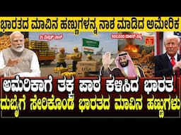 ಅಮೆರಿಕಾಗೆ ತಕ್ಕ ಪಾಠ ಕಳಿಸಿದ ಭಾರತ.!  America Rejected Mango Shipment will shift soudi arabia | India