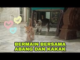 ASYIK BERMAIN BERSAMA PETAK UMPET