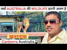 Canberra Australia Vlog 2025 | लाइफ में पहली बार देखा बब्बर शेर ऑस्ट्रेलिया में