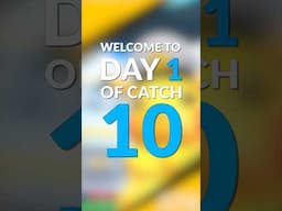 Day 1 of Catch 10! The hunt for my 10th Shundo ✨ #PokemonGO #Pokemon
