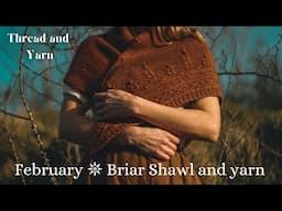 February 𖤓 Briar Shawl pattern and naturally dyed yarn 𖤓 plus knitting, sewing and allotment update
