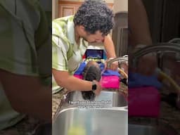 It Gets Better: shampooing kids with sensory issues