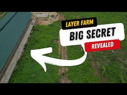 This LAYER FARMING Secret is Worth 10 Million Naira