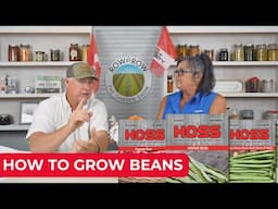 Growing Beans In The Garden | Bean Growing Strategy