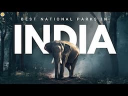 Top 10 AMAZING National Parks in India for Wild Adventures