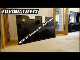 Broken Samsung 65" TV - Sound but NO IMAGE - Can I FIX IT?