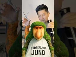 ASMR with Brr Brr Patapim #anomali #brrbrrpatapim #asmr #asmrbarbershop #asmrsounds #asmrvideo