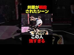 井原がKOされる #shorts