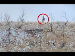 Marsh Peak Bigfoot Activity Investigation Update