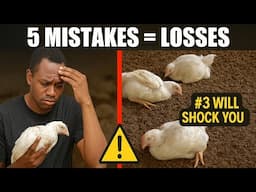 5 Deadly Mistakes Killing Broiler Farmers | Avoid These Costly Errors!