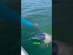 Can’t believe we caught this! #fishing #offshorefishing #fish #crazy