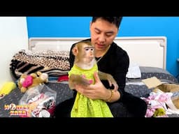 Dad gives Monkey Kaka super nice clothes