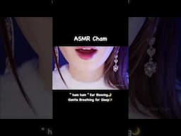 ASMR “ham ham ” Ear Blowing🌙 Gentle Breathing for Sleep✨ #asmr #shorts