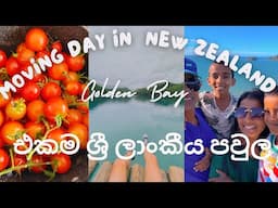 සුන්දර ගම්මානයේ එකම ලාංකික පවුල/Move in to New Place in New Zealand#newzealandlife#srilankanfamily