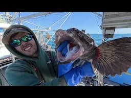 Beautiful Day of Good Jigging! | Catching Rockfish in Alaska