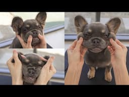ㅎㅏ…지…ㅁㅏㄹ…ㄹㅏ…ㄱㅗ…ㅎㅐㅆ다
