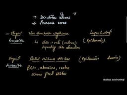 Degree of bed sore, Bed sore grades, decubitus ulcers, pressure sore, medical surgical nursing
