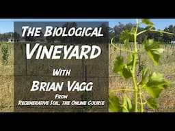 A COMPOST POWERED Vineyard with Brian Vagg | Regenerative Soil