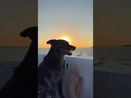 KWShort