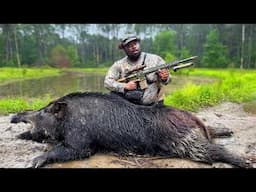 We Hunted FERAL WILD HOGS for the FIRST TIME!