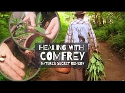 Healing With Comfrey: Natures Secret Remedy | Herbal Jedi