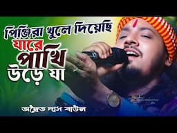 পিঞ্জিরা খুলে দিয়েছি | অদ্বৈত দাস বাউল | Ja Re Jare Ure Jare Pakhi | Adwaita Das 2025 | New Sad Song