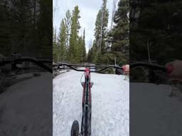 Snow, Shredding, And Saws #mtblife #adventure