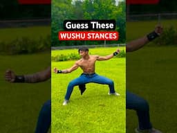 Guess These WUSHU Stances! #kungfu #shorts