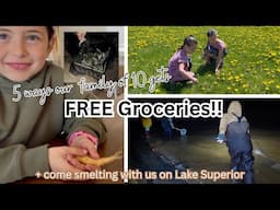5 Ways our Large Family Gets FREE GROCERIES (and reduces our grocery budget by thousands!)