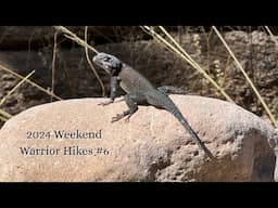 2024 Weekend Warrior Hikes #6: Introduction to the Chiricahua Wilderness