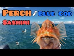 Catch and Cook Perch and Blue Cod Sashimi [with Nam Jim Sauce]