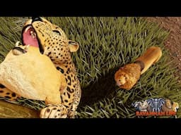 Leopard Stealing Lion Cubs! | ROBLOX Savannah Life