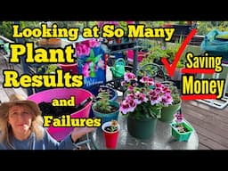 TRUTHFUL Plant RESULTS & TIPS on Tomato Splitting, Propagating, BUYING PLANTS Seeds Container Garden